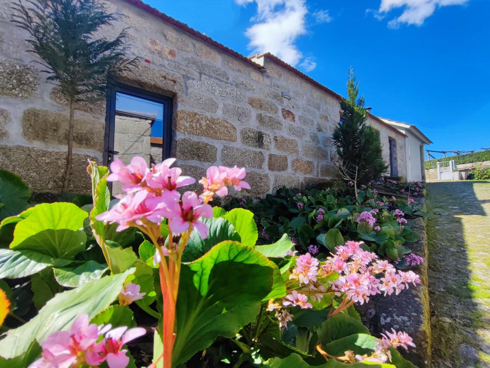 Agroturismo Quinta De Travancela อามารังติ ภายนอก รูปภาพ