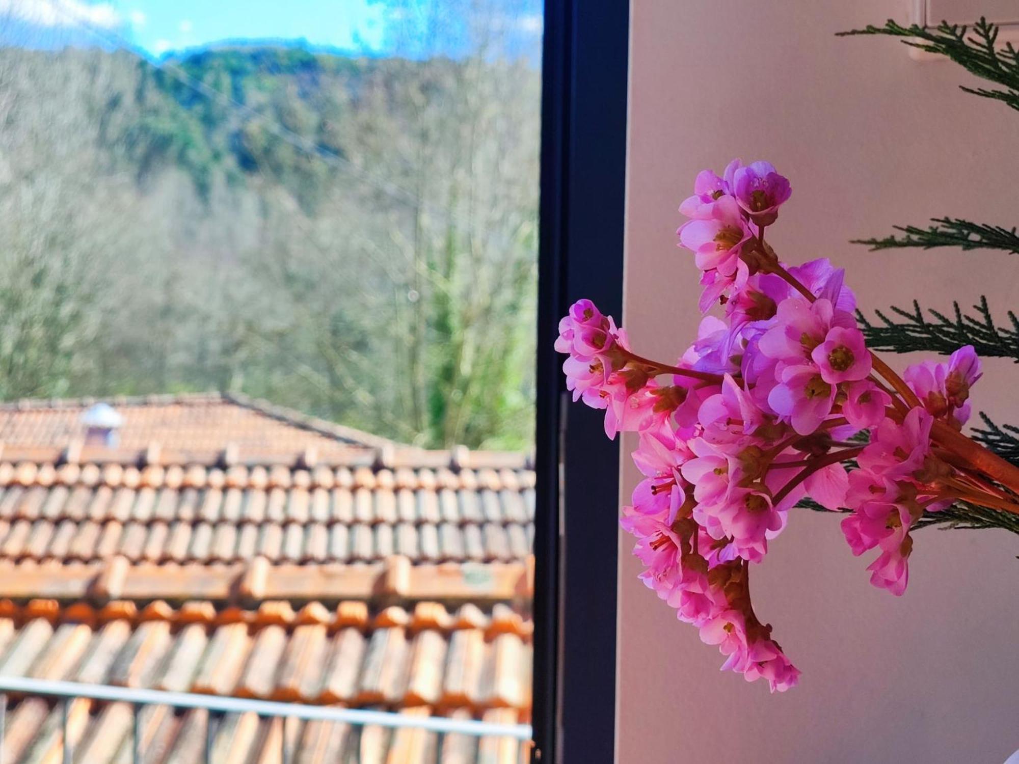 Agroturismo Quinta De Travancela อามารังติ ภายนอก รูปภาพ