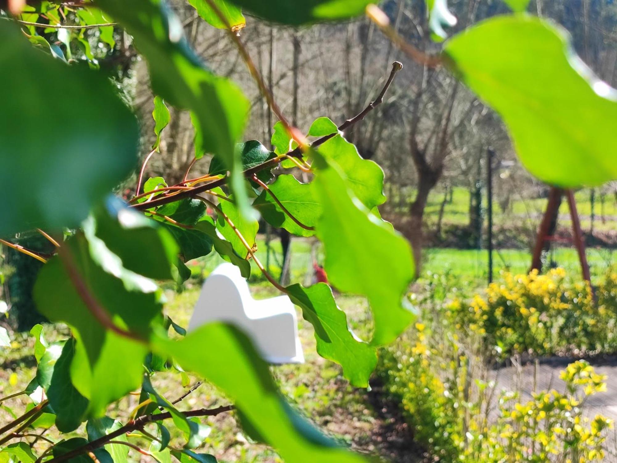 Agroturismo Quinta De Travancela อามารังติ ภายนอก รูปภาพ