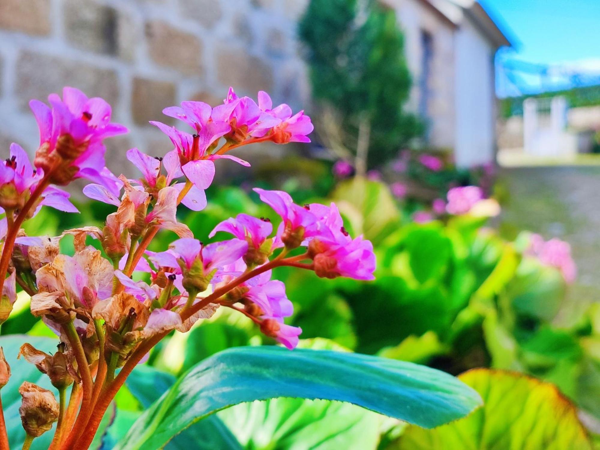 Agroturismo Quinta De Travancela อามารังติ ภายนอก รูปภาพ